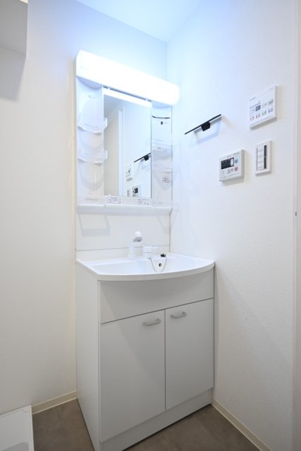 フェリデンシア御嶽山3階 洗面