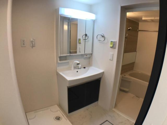 エルアンジェル201号室 洗面（イメージ）
