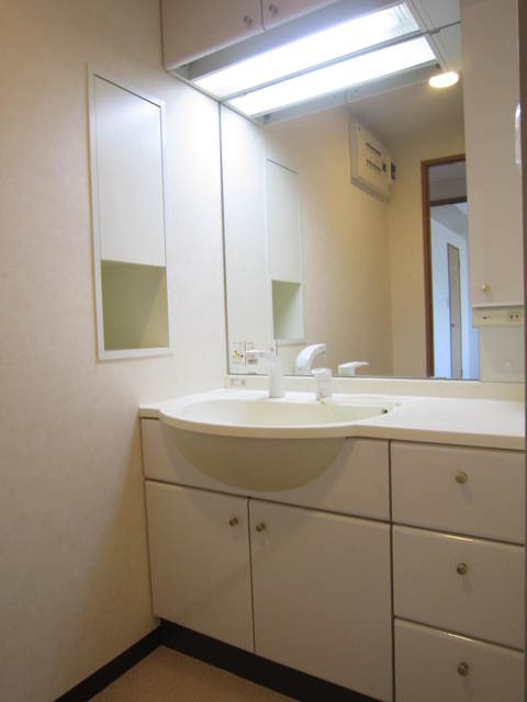 マノー藤沢0402号室 洗面