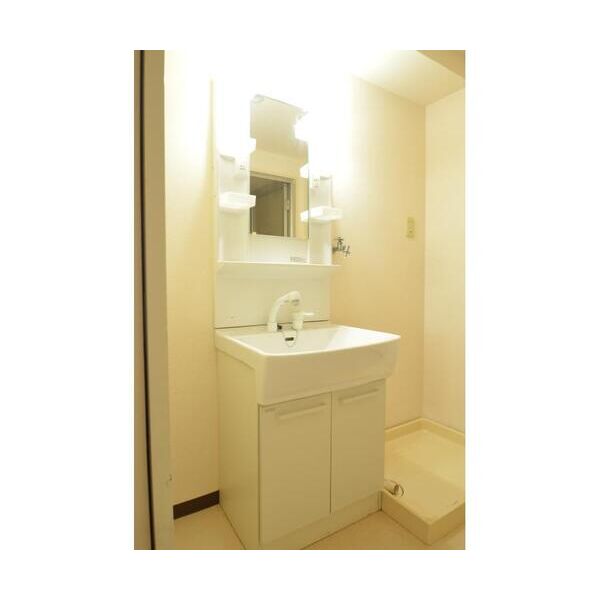 エクセルハイム城山 洗面