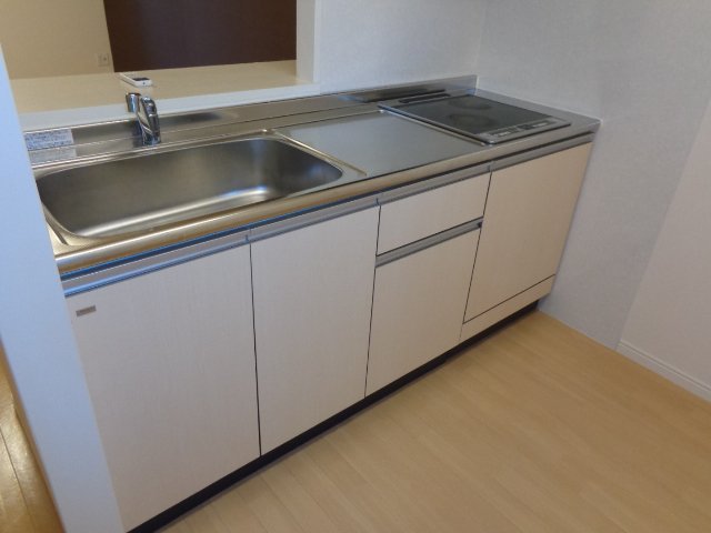 フォーマルハウト00202号室 キッチン