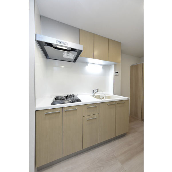 クリオ　ラモード学芸大学Ⅱ0401号室 キッチン