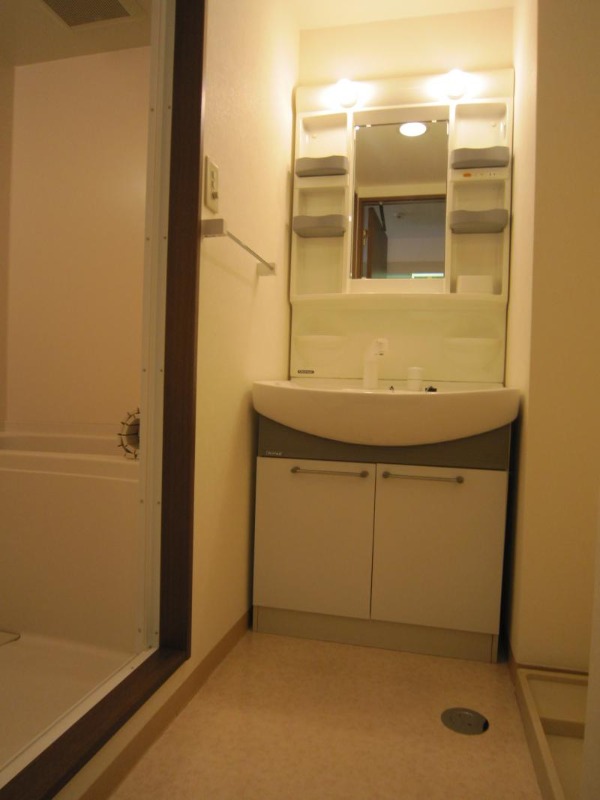 セイコーガーデン成増 洗面