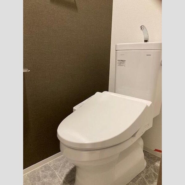 S-RESIDENCE綾瀬rivie501号室 トイレ