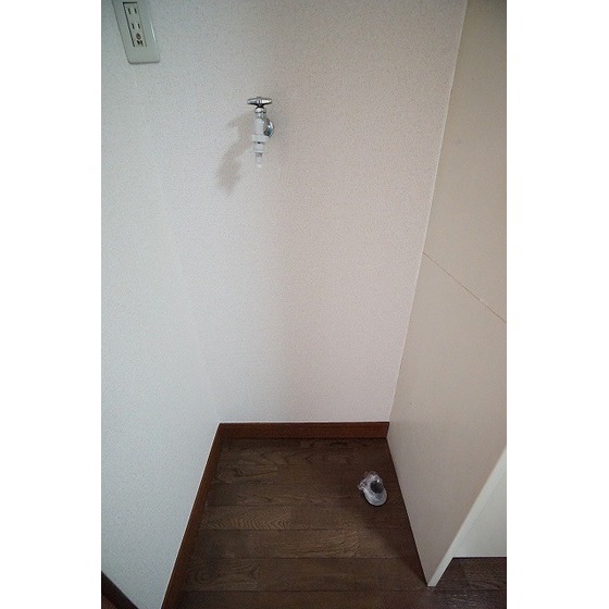 イリス三田0203号室 室内洗濯機置き場