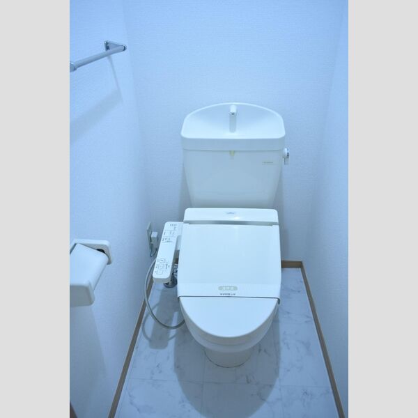 リビングタウン三橋101号室 トイレ