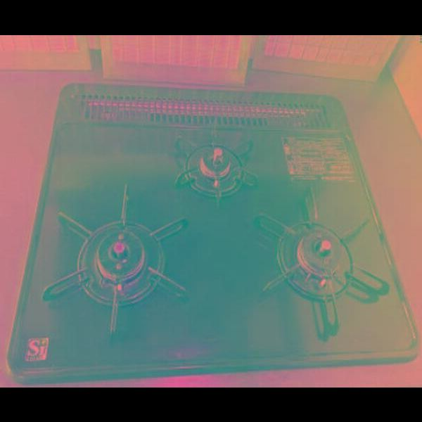 ミルーナヒルズD駒込603号室 部屋その他