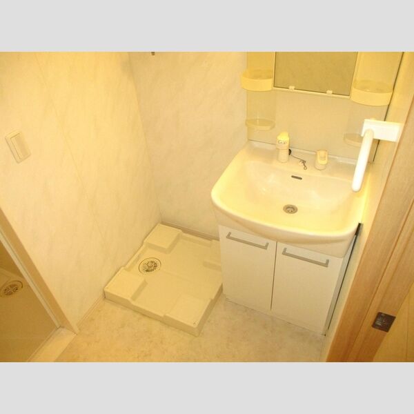 ラ・レアール・パス101号室 洗髪洗面化粧台、室内洗濯機置場