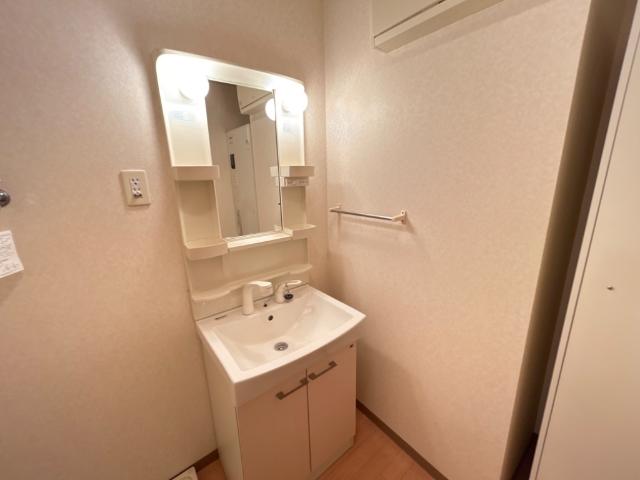 ラッフィナート田園102号室 洗髪洗面化粧台
