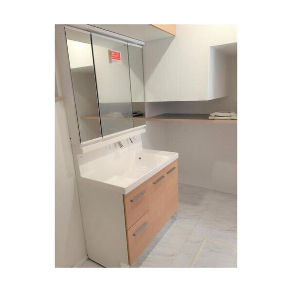 市川市国府台4丁目戸建A棟 洗面