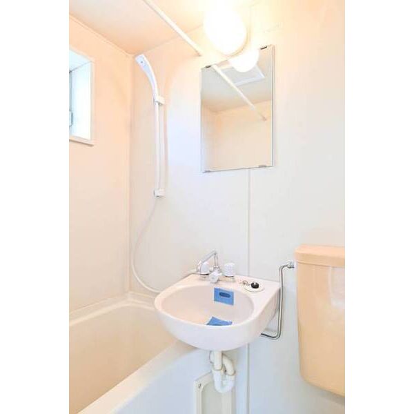 ピュアハウス藤棚三番館0205号室 洗面
