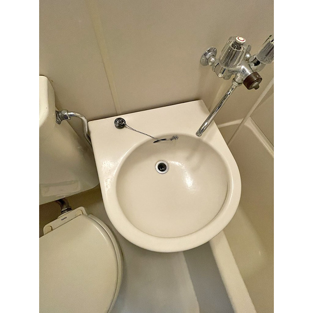 ミモザアネックスＡ 洗面