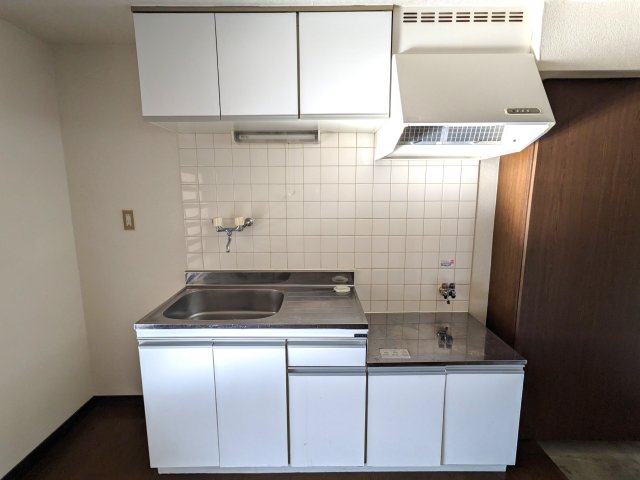 デルフォカーサトーア203号室 キッチン