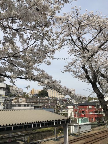 高石戸建 【その他】百合ヶ丘駅まで1432ｍ