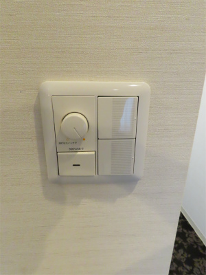 M-1 Tokyo 東矢口22階 部屋その他