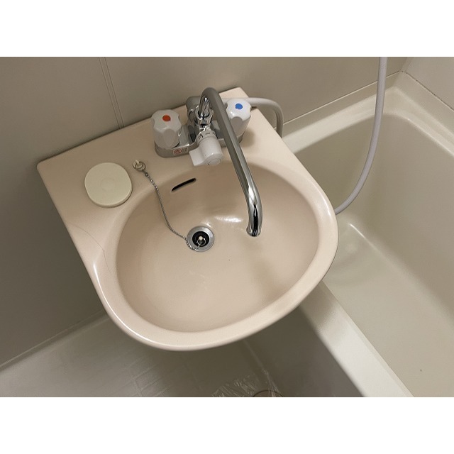 プロムナード中浦和0203号室 洗面台