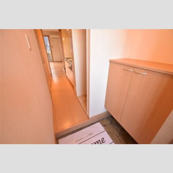 GEMINI　ONNA101号室 玄関