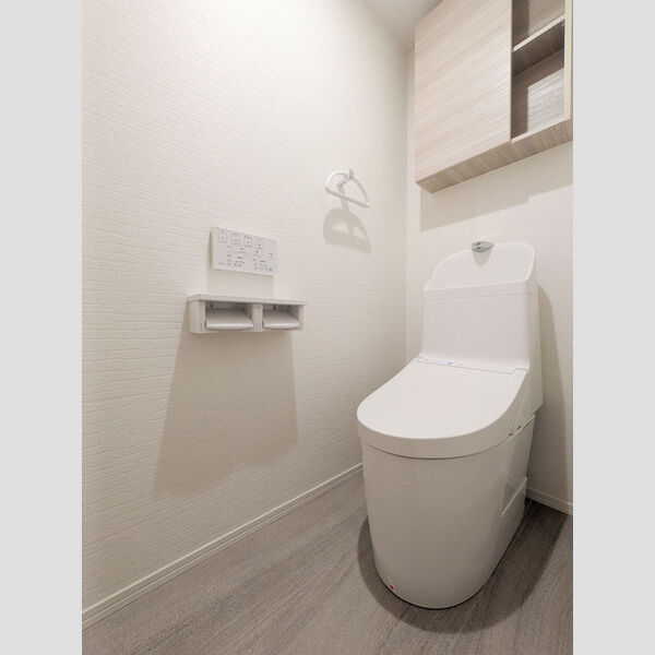 グランヴィル202号室 トイレ