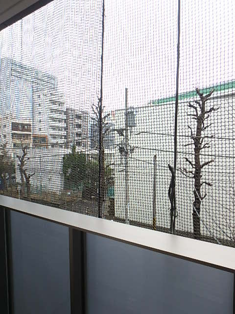 ガーラ横濱関内グランドステージ3階 眺望