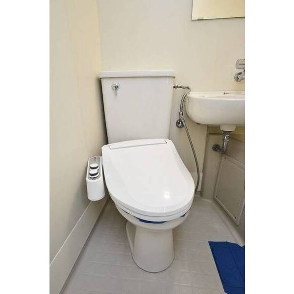 メゾン・ド・パナシェ0512号室 トイレ