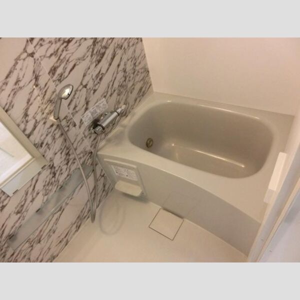 フリージア ヒルズ205号室 浴室