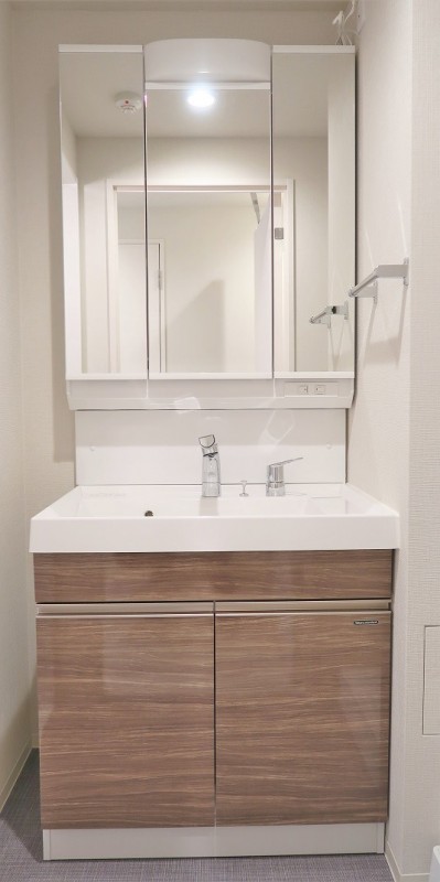 ロイジェント大山西町2階 洗面