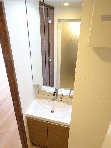 ラフィスタ蒲田南Ⅱ413号室 洗面