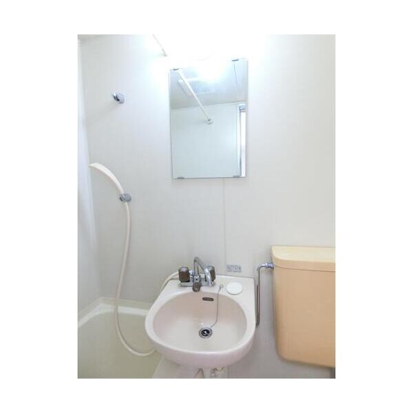 エステートピアシミズ203号室 洗面