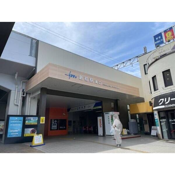 パナハイツ幹 周辺