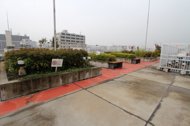 プライムアーバン日本橋横山町302号室 屋上ドックラン