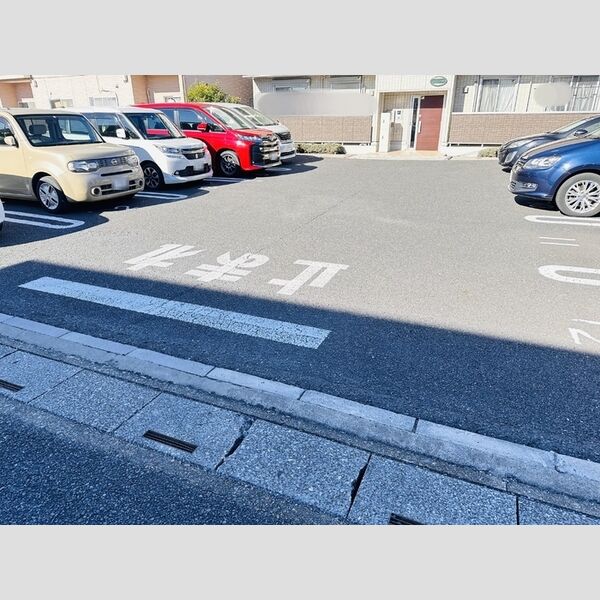 エステート・シマムラ　D202号室 駐車場