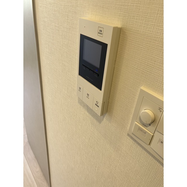 ACP Residence 亀戸0507号室 部屋その他