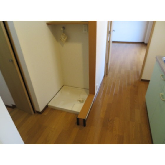 ルビナス・ウエストパレス0303号室 洗濯機置き場・廊下