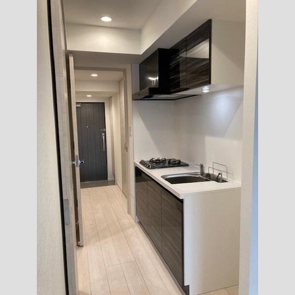 S-RESIDENCE菊川rivie902号室 玄関