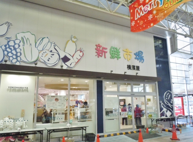 サファイアマンション103号室 横濱屋