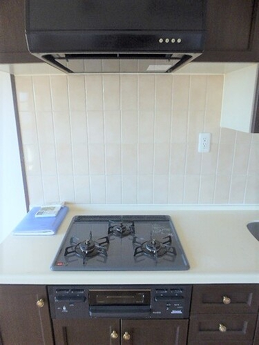 ライオンズガーデン川崎105号室 同建物別部屋の参考画像