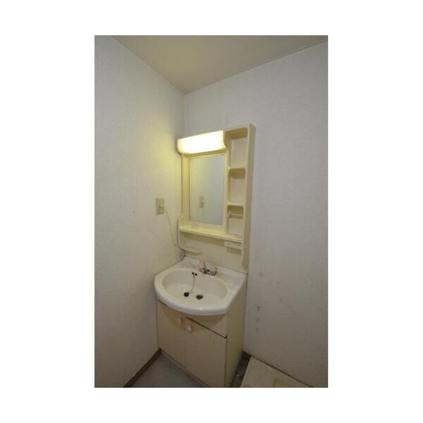 メゾン・ド・ルミエール203号室 洗面