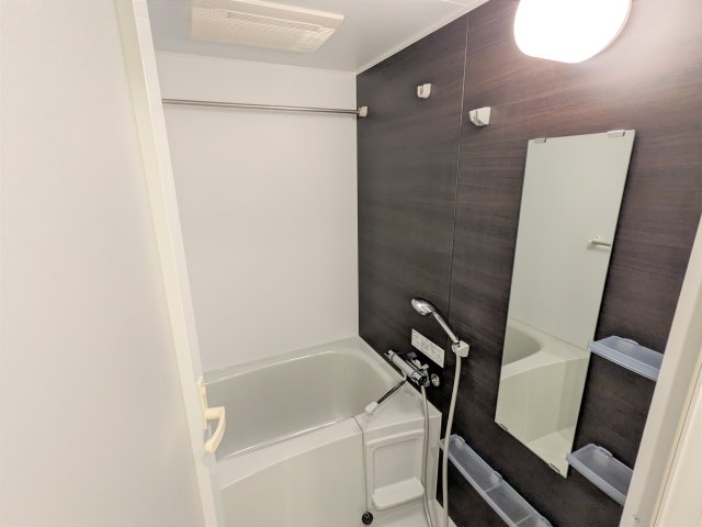 ケーディーエックスレジデンス豊洲424号室 お風呂