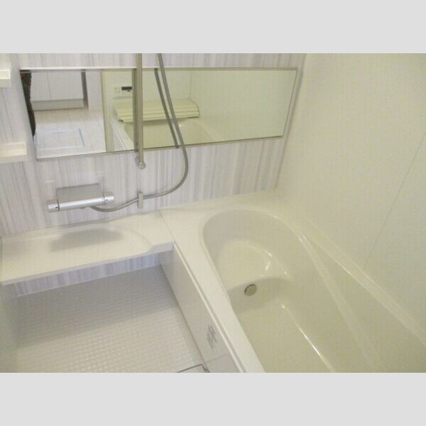 プチクールⅢ・Ⅴ　Ⅴ201号室 Ⅴ201(浴室)