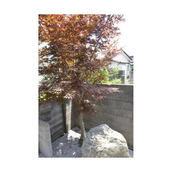 グリーンバード湘南102号室 部屋その他