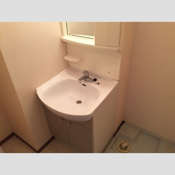 ヴィヴィレ フルール 洗髪洗面化粧台