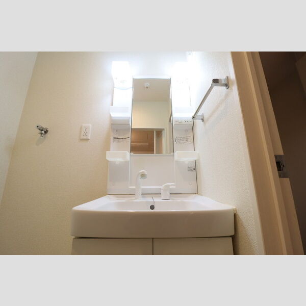 カーサ フェリーチェ 柴又106号室 洗面化粧台
