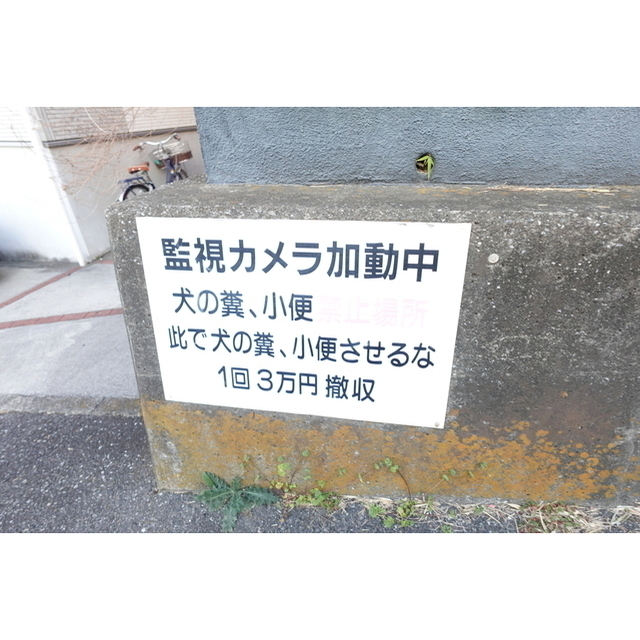 アクセス四葉 外観