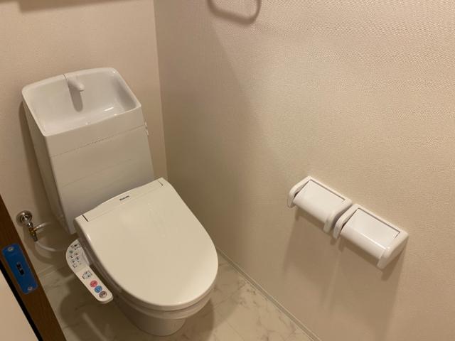 Jour de floraison H（ジュール　ド　フロレゾン　Ｈ）209号室 シャワー付トイレ（イメージ）