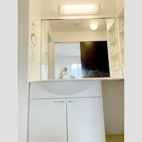 ディアコート鹿放ヶ丘201号室 洗髪洗面化粧台