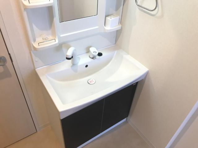 キャトルセゾン白楽101号室 洗面