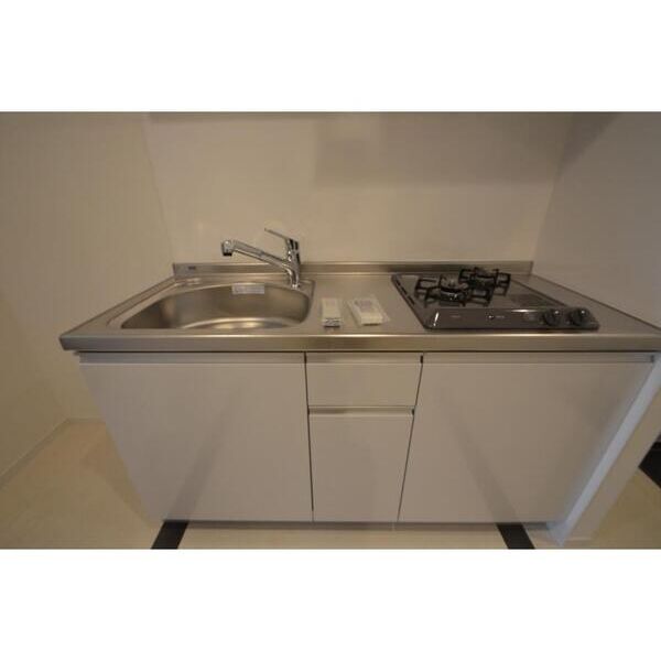 HERMITAGE　Waseda　Machi204号室 キッチン