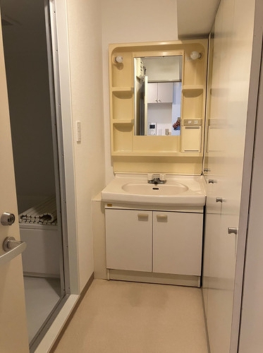 ライオンズプラザ浦和元町Ｃｉｔｙ 洗面