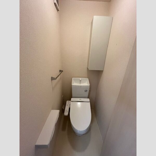 サントル ヴィラージュⅡ202号室 トイレ