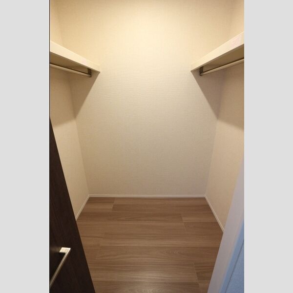 ハイピクチャー　　E棟201号室 ウォークインクローゼット